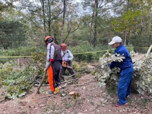 モリメイト通信10月号