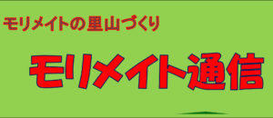 モリメイト通信 4月号