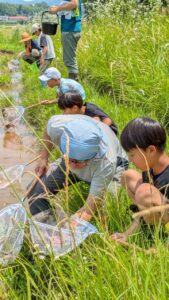 ★☆田んぼの生きもの観察会☆★