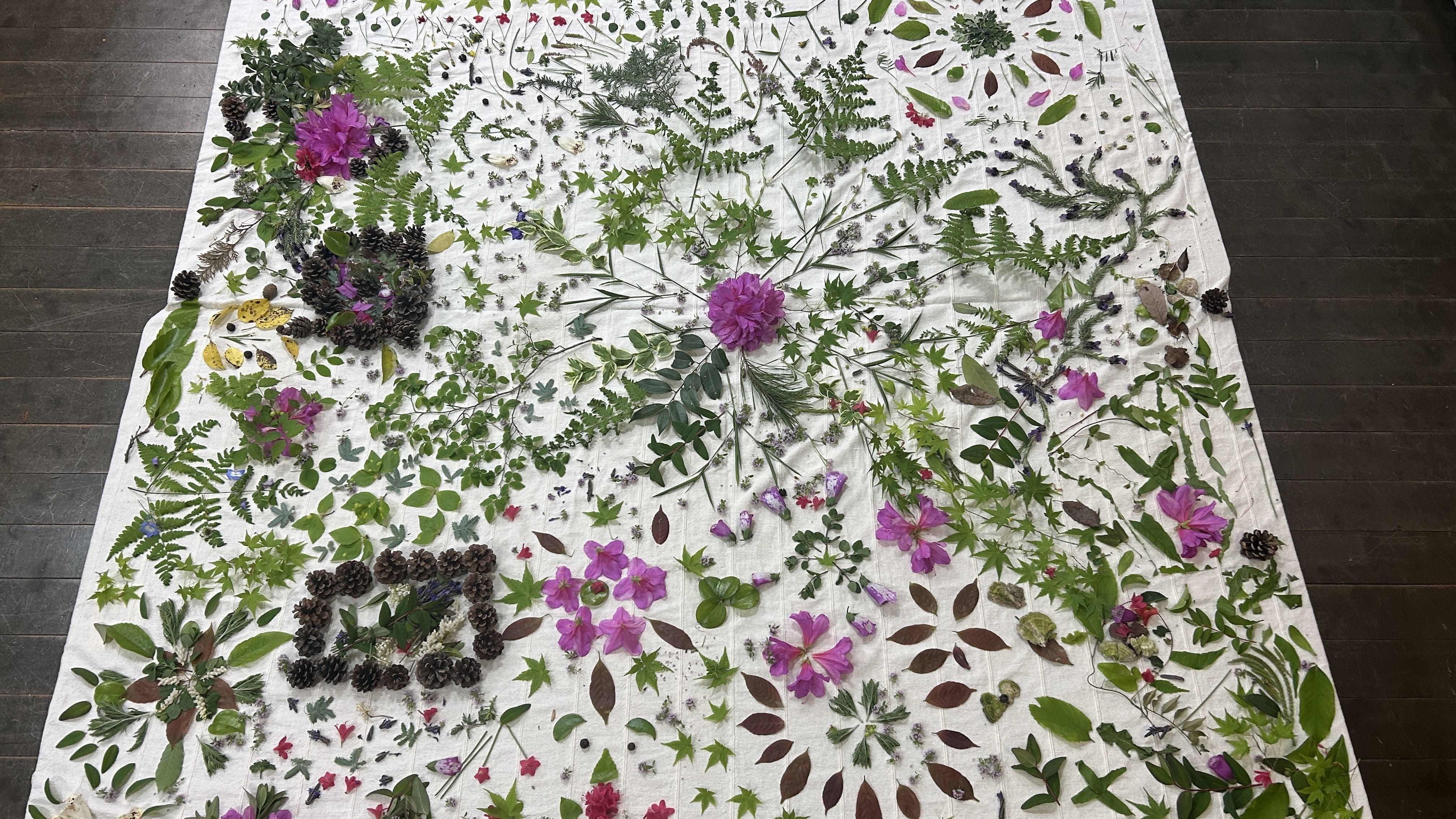 曼荼羅　イレーヌ　マイヤー作品 5db8ba8f2613108ae461880f04c563 絵画