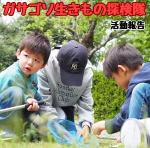 ★☆ガサゴソ生きもの探検隊☆★