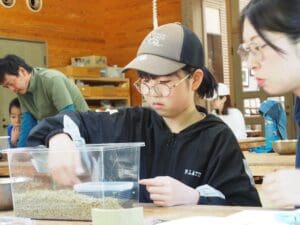 ★☆カエルを飼おう☆★